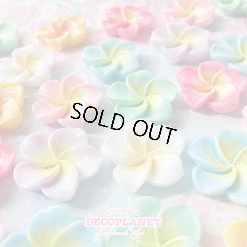 画像4: ハイビスカス　中サイズ (4)