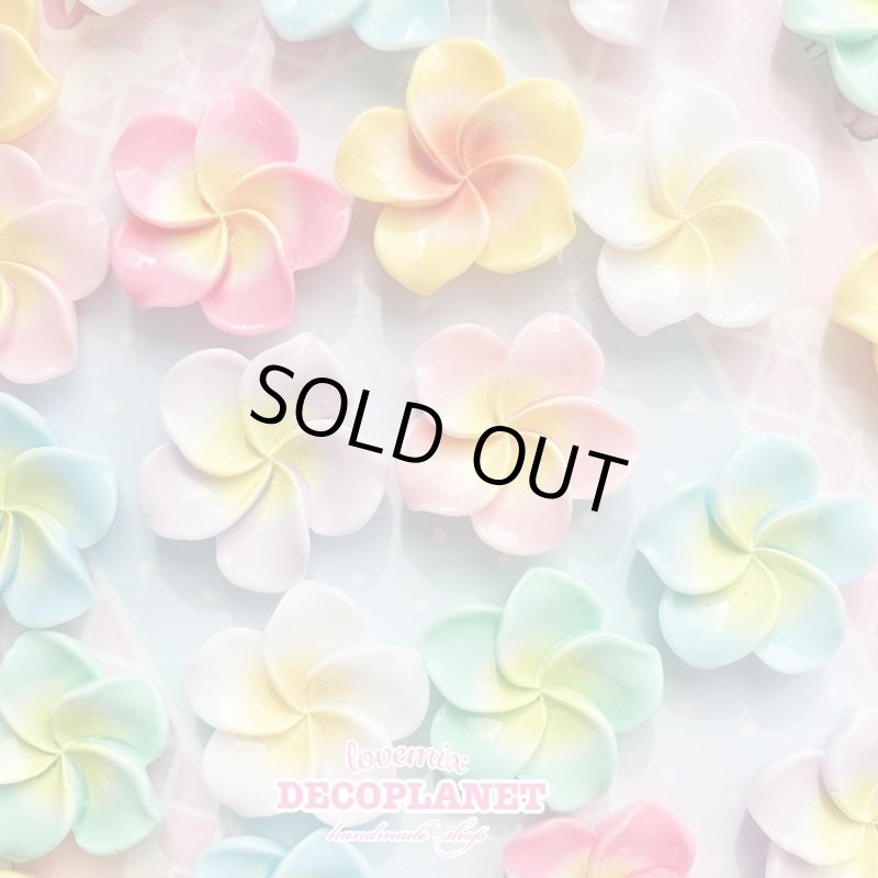 画像2: ハイビスカス　中サイズ (2)