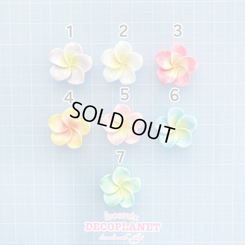 画像3: ハイビスカス　中サイズ (3)