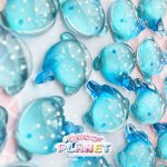 画像2: ジンベイザメ (2)