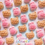 画像1: メロンパン風　ウサギ　くま　 (1)