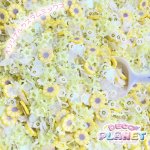 画像2: デコプラ　オリジナルミックス　ひまわり＆スマイルフラワー　イエロー (2)