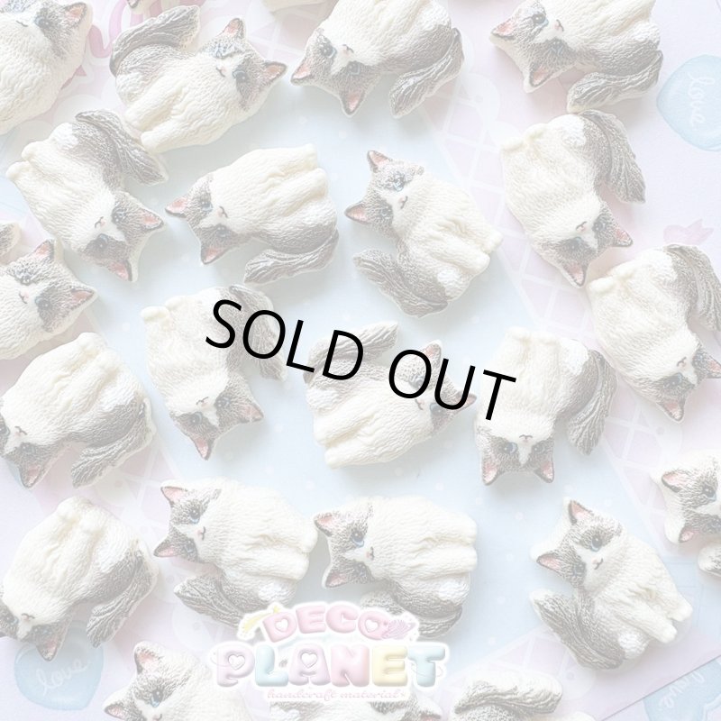 画像1: リアル　猫ちゃん (1)