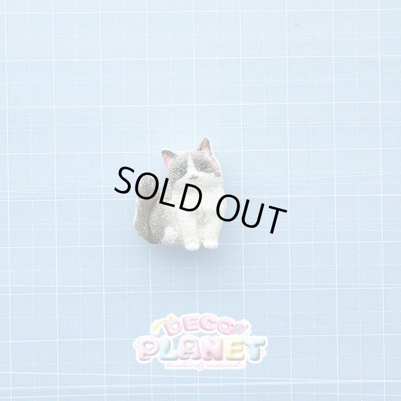 画像3: リアル　猫ちゃん (3)