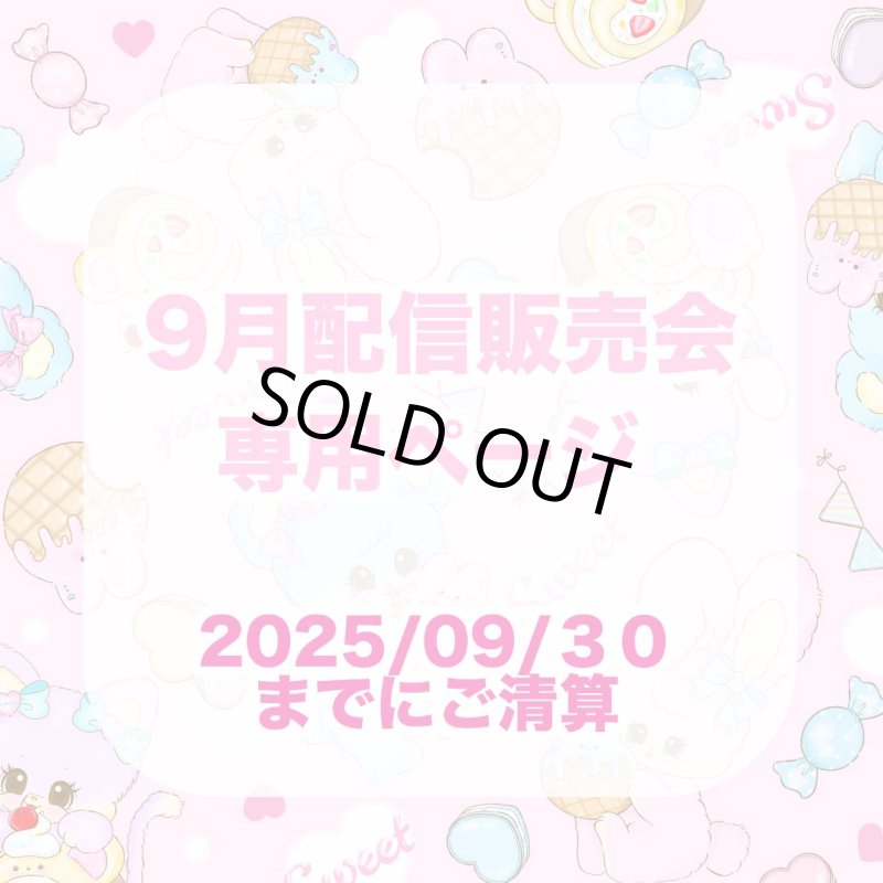 画像1: 9月　　専用ページ　　 (1)