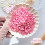 画像3: ミニミニ　ハート　30gセット (3)