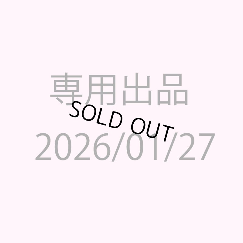 画像1: 　専用ページ　　 (1)